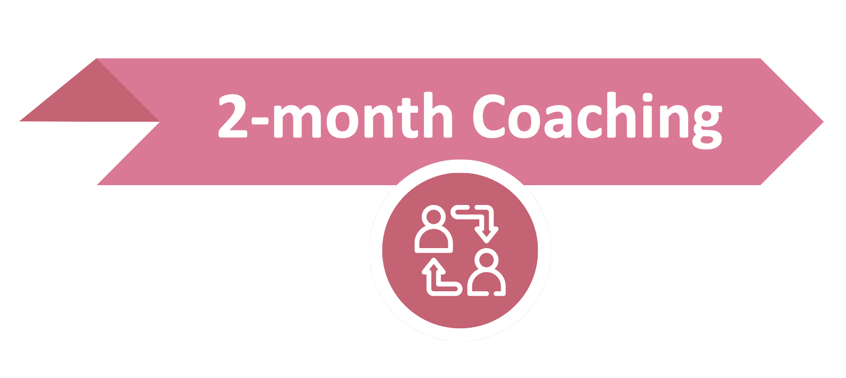PMxAI 2-month Coaching